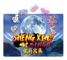 Sheng Xiao Bingo - HEROBET168