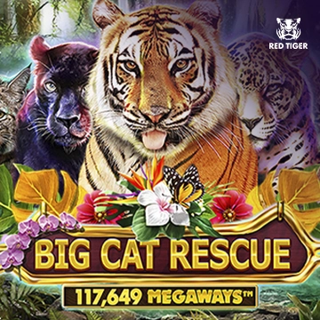 Big Cat Rescue Megaways - HEROBET168
