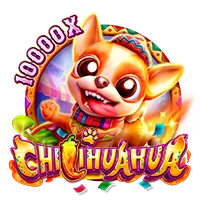 Facai : CHILIHUAHUA - HEROBET168