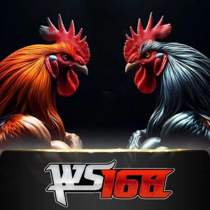 Ws168 Sabung - HEROBET168