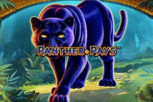 Panther Pays - HEROBET168