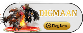 Digman - HEROBET168